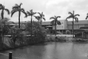 Fotografia do lago e coqueiros da entrada da Unijorge Paralela